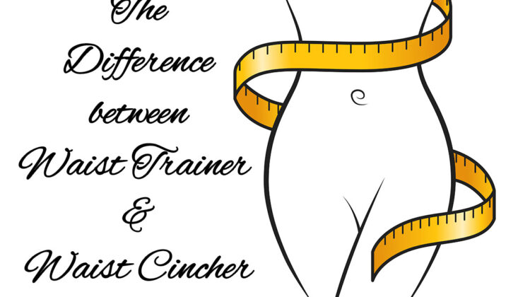 Differences between Waist Trainer and Waist Cincher