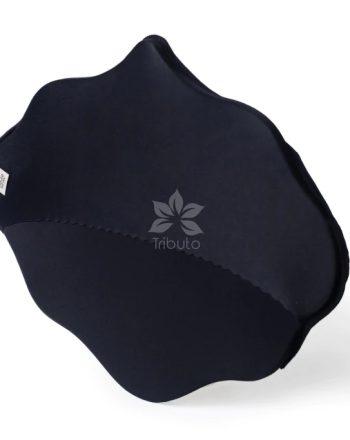 Tributo-Majestic-Ab-Board